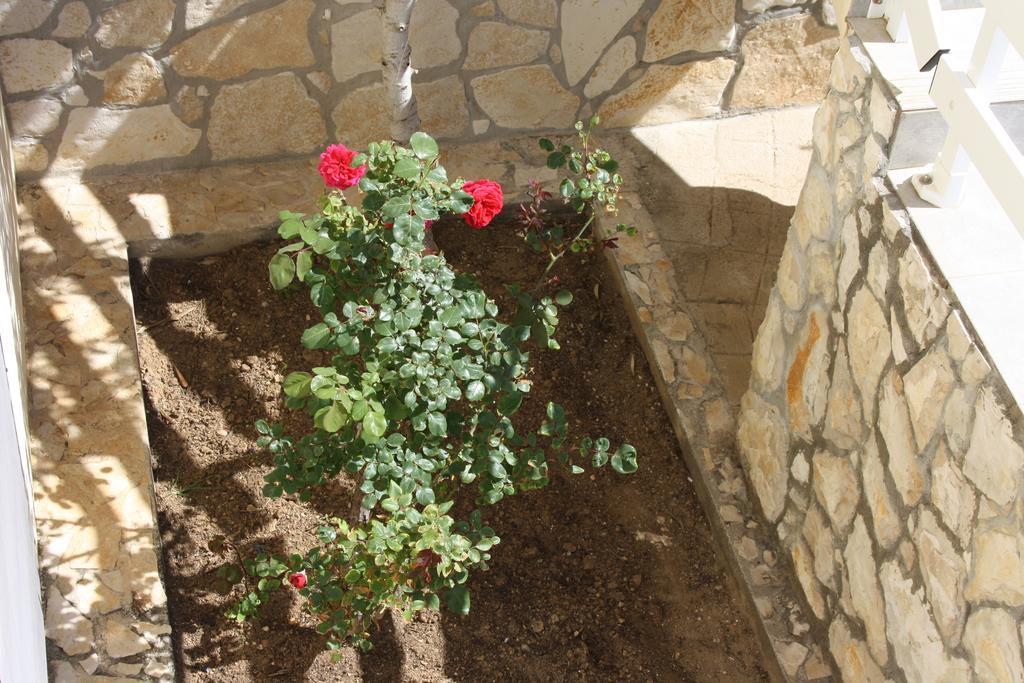 Kuca Za Odmor Laura Apartment Razanac Luaran gambar